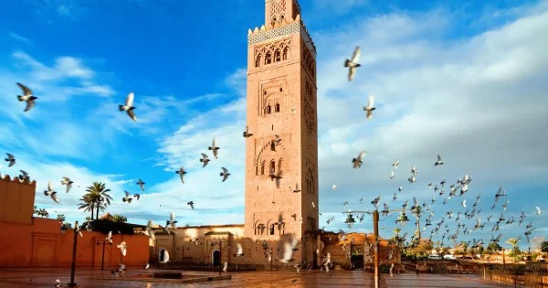 MARRAKECH-ESSAOUIRA–RABAT & CASA VACANCES DECEMBRE 2025