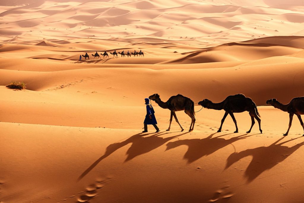 Le Sahara tunisien est une destination qui vous marquera à vie.